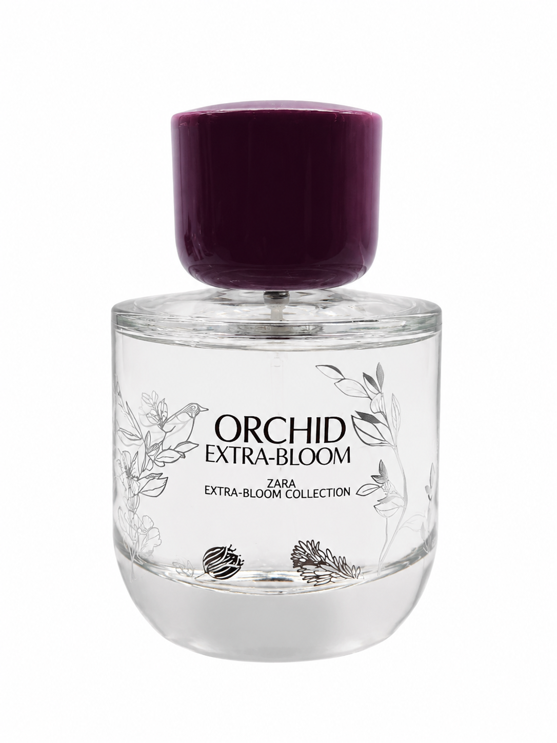 عطر زنانه زارا Orchid Extra Bloom حجم 90 میلی‌لیتر