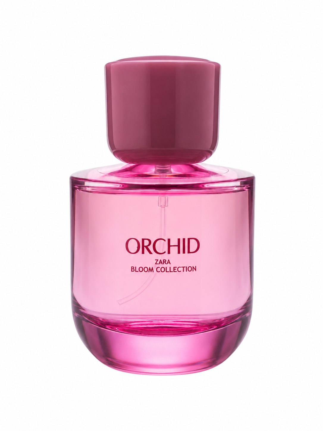 عطر زنانه زارا ارکید Orchid Bloom Collection حجم 90 میل