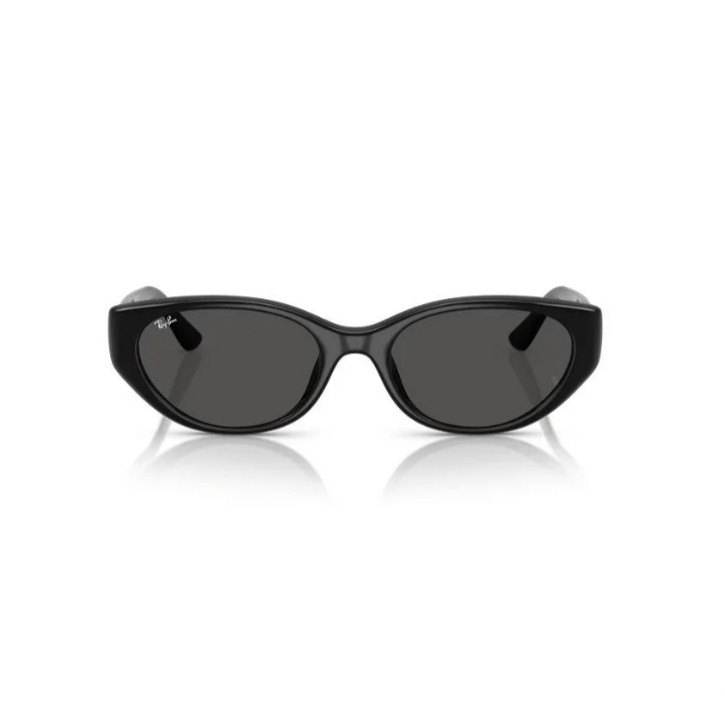 عینک آفتابی Ray-Ban فریم مشکی عدسی مشکی